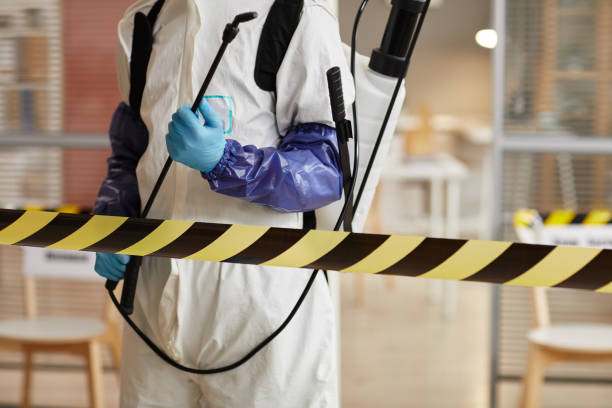 Professional Sewage Cleanup technician working in Losantville, IN